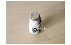 
			Fuse E33, ETI, 63A, 500V, DIII/gG/gF