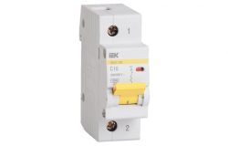 
			Circuit breaker IEK, 1C, 100A, 10kA